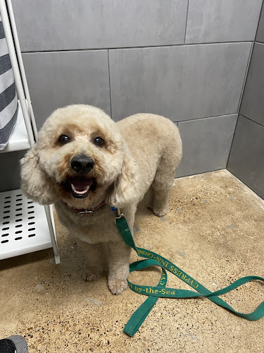 petbar Boutique - Devonshire