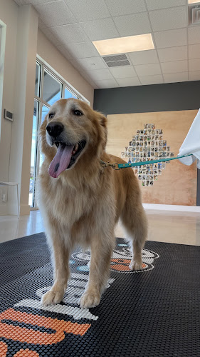 petbar Boutique - Fort Lauderdale