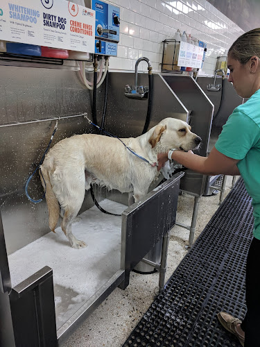 petbar Boutique - Highland Park