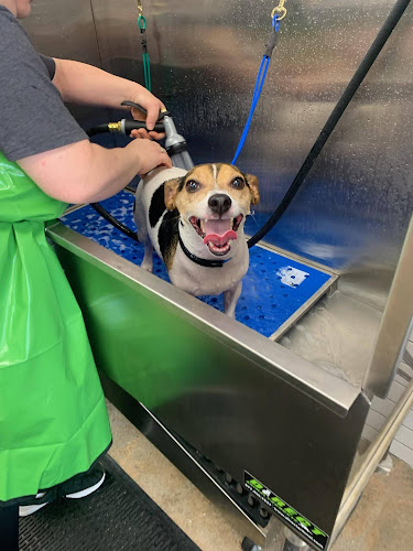 petbar Boutique - Houston (Bellaire)