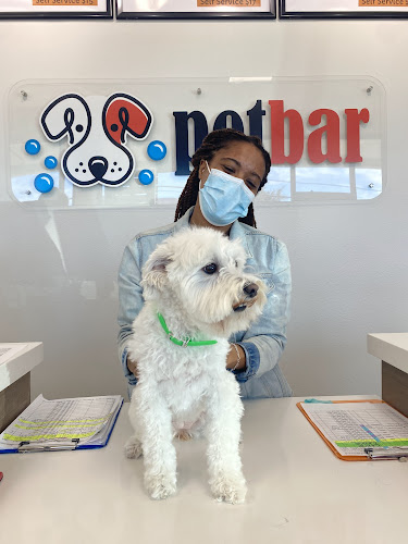 petbar Boutique - Lakewood