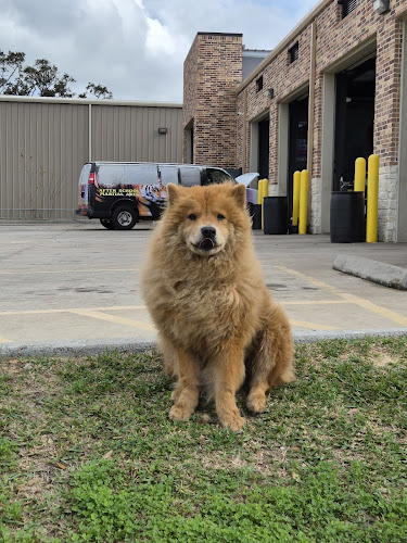 petbar Boutique - League City