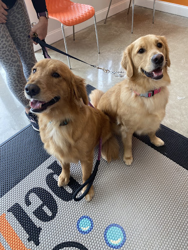 petbar Boutique - McKinney