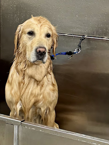 petbar Boutique Plantation