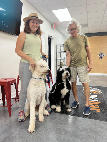 Petbar Boutique - The Heights