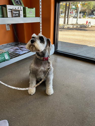 petbar San Antonio - Alamo Heights