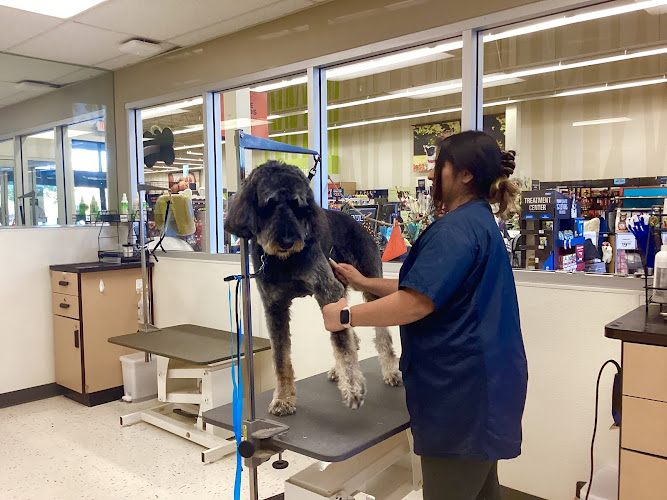 Petco Grooming