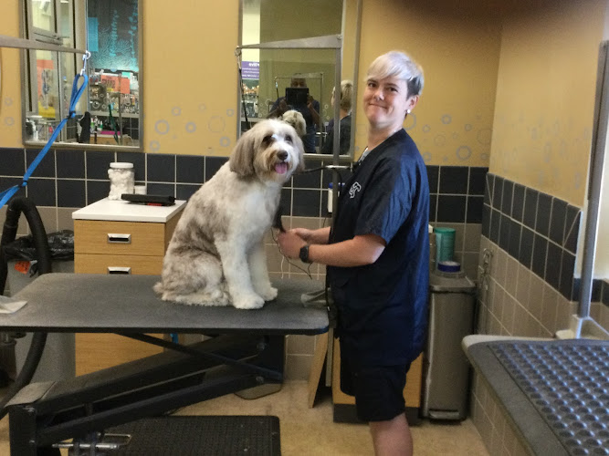 Petco Grooming
