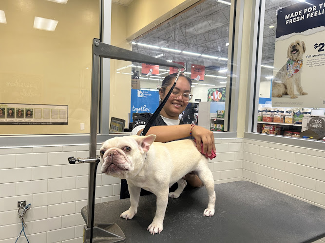Petco Grooming