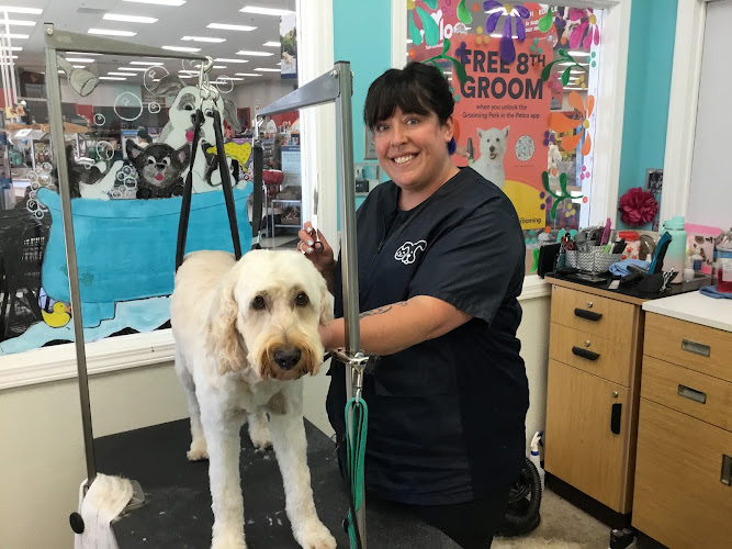 Petco Grooming