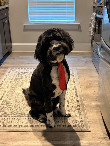 PetDog Mobile Grooming