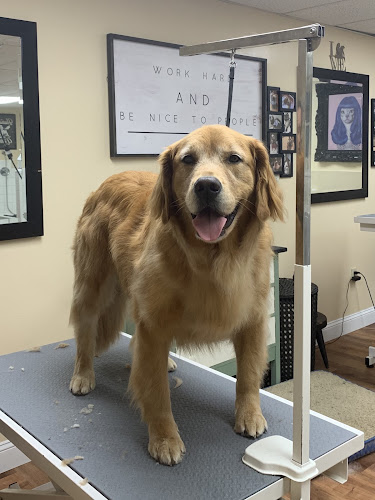 Peterborough Paw Spa