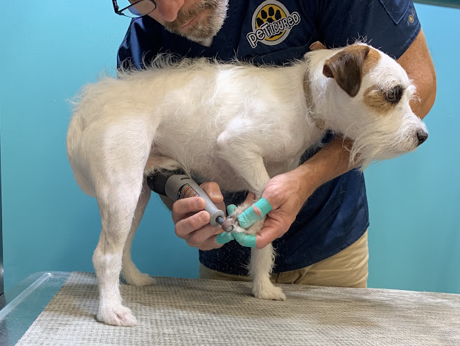 Peticured - Pet Nail Specialists