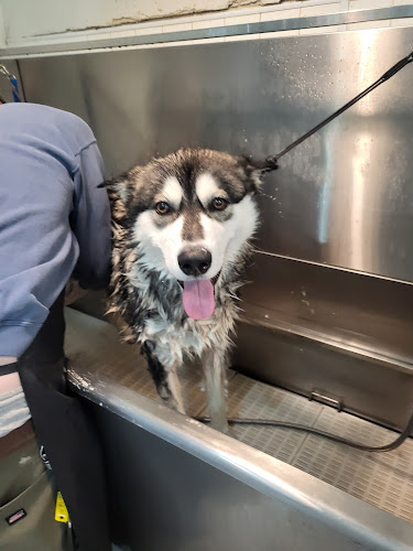 petNmind Naturals & Self-Wash Monrovia