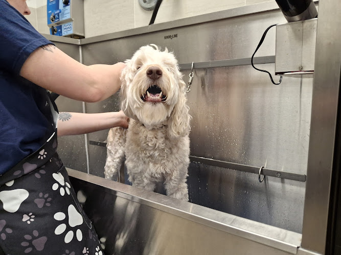 Petropolis Chesterfield