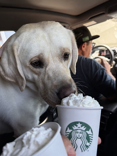 Pets Choice Grooming and Supply