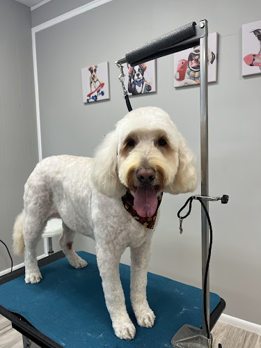 Pets’ Friend Grooming Salon by Wally