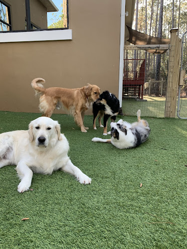 Pets R Family Boarding and Grooming