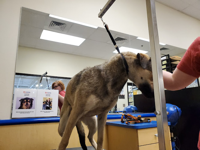 Petsense by Tractor Supply