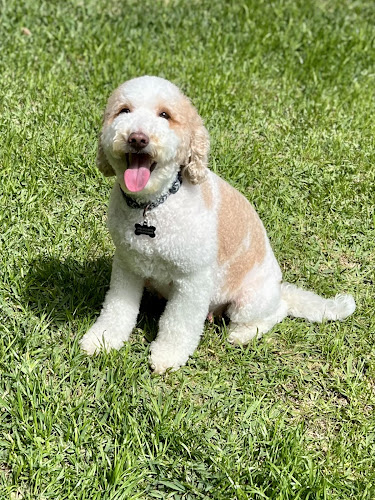 Petsense by Tractor Supply