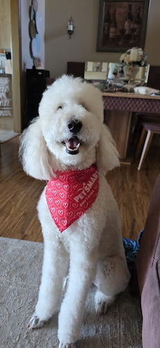PetSmart Grooming