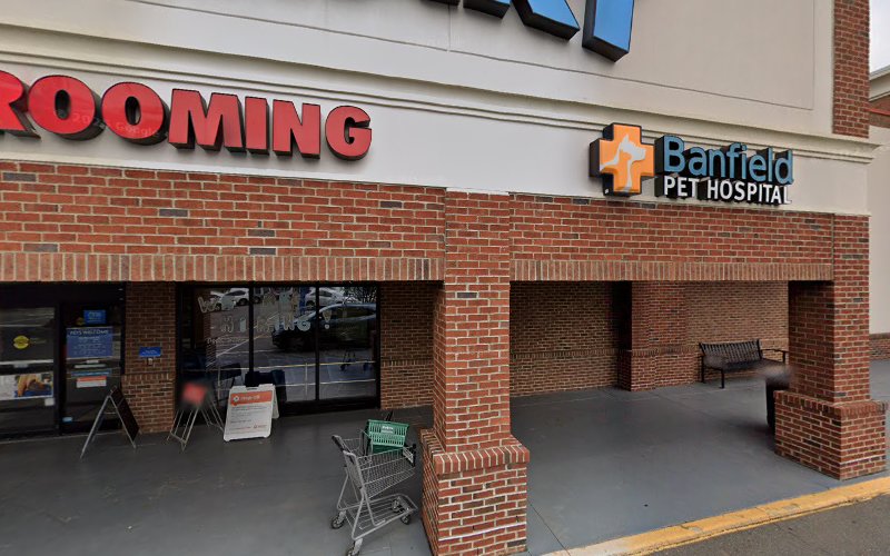 PetSmart Grooming