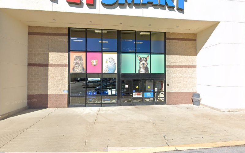 PetSmart Grooming