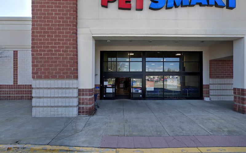 PetSmart Grooming