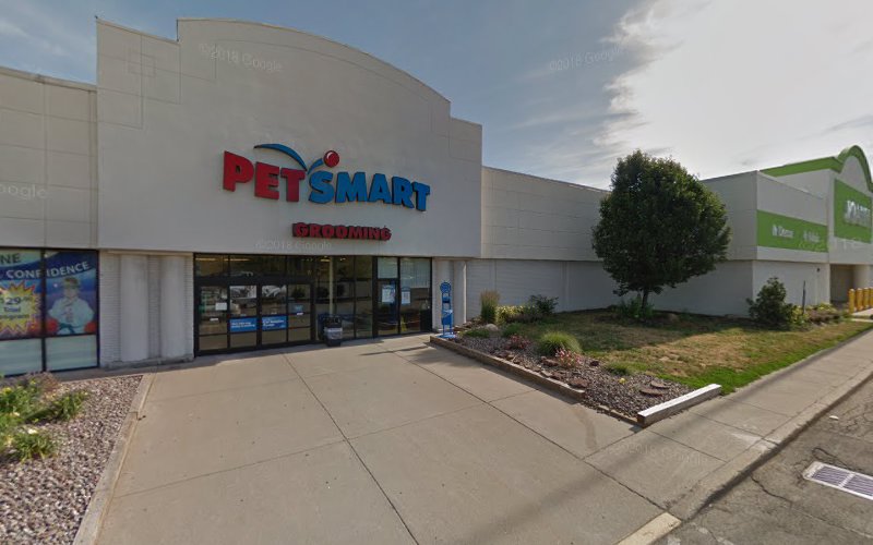PetSmart Grooming