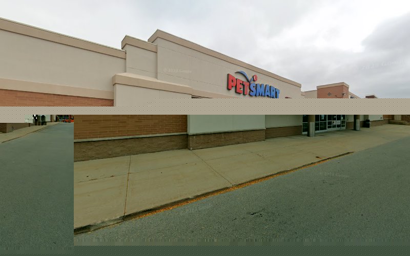 PetSmart Grooming