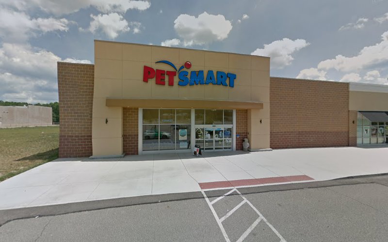 PetSmart Grooming