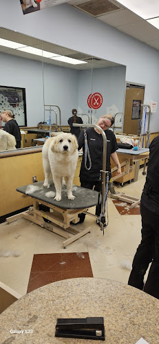 PetSmart Grooming
