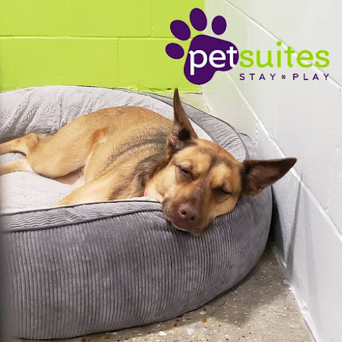 PetSuites Northshore