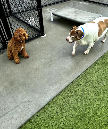 PetSuites Schaumburg