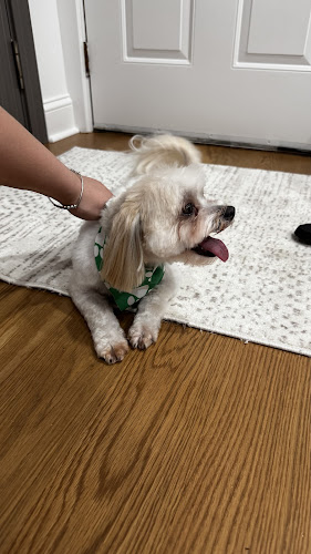 Petsupplied -Grooming - SelfWash