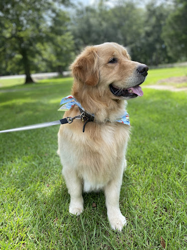 Petworks Dog Grooming