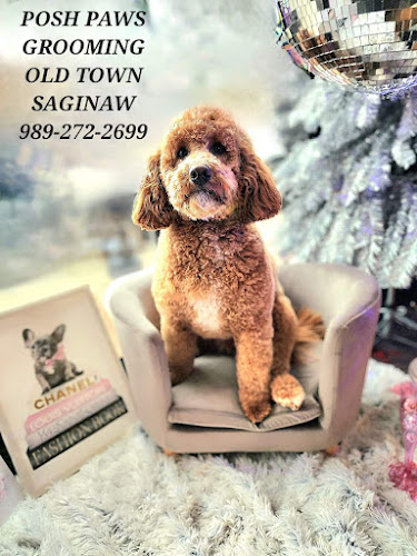 Picky Chic Posh Paws Grooming Boutique