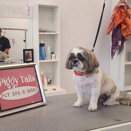 Piggy Tails Pet Spa & More