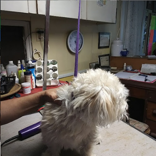 PineView Kennel Grooming, LLC