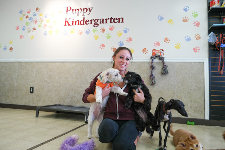 Pink Pucci Dog Grooming and Daycare