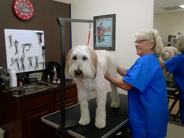 Pioneer Pet Salon