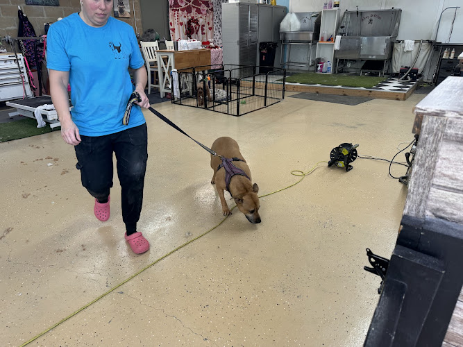 Pirate Puppies Grooming Salon