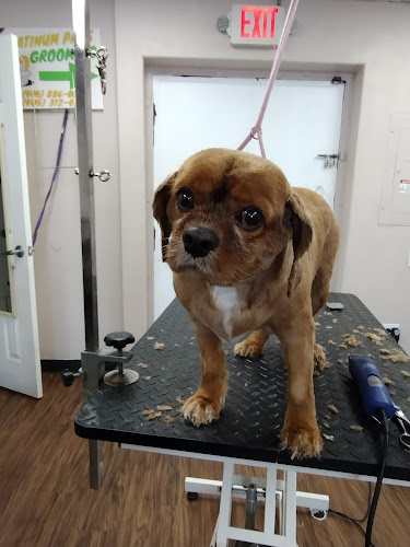 Platinum Paws Grooming LLC