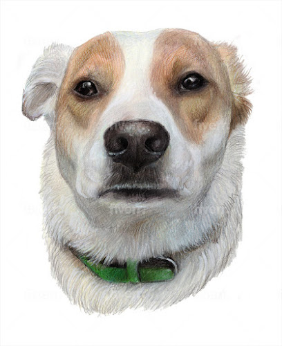 Platinum Pet Cuts LLC