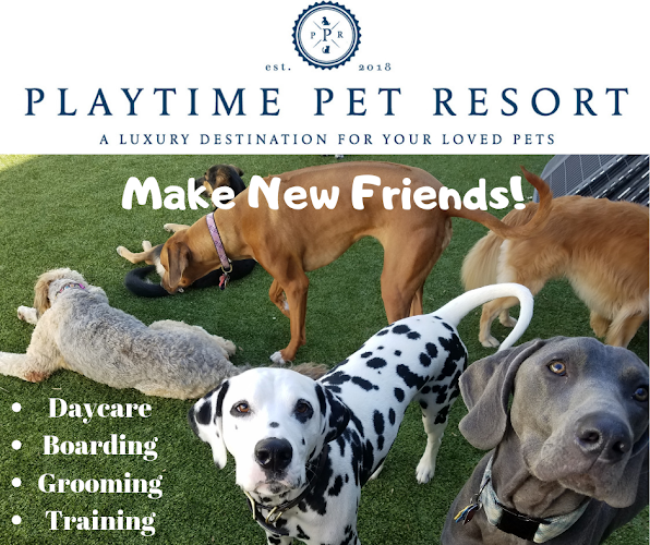 Playtime Pet Resort