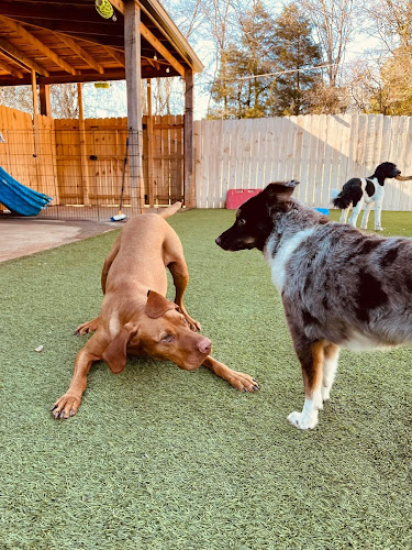 Pleasant View Pet Spa