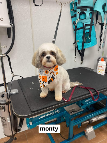 Plush Pups Boutique & Grooming