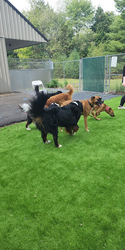 Pocono Bed and Biscuits - Bushkill