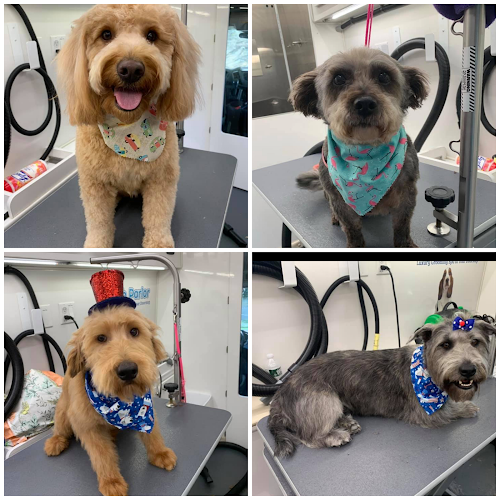 Pooch Parlor