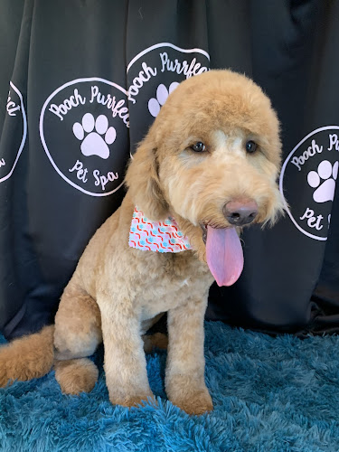 Pooch Purrfect Pet Spa LLC